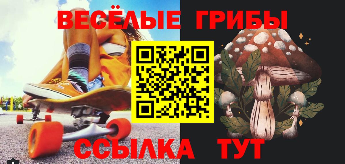Курск  Галлюциногенные грибы GOLDEN TEACHER  Вход с VPN 
